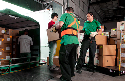 Servicio Consolidado